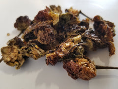 Jamaican Scotch Bonnet Peppers "The Fire of Jamaica — Fruity, Fierce, and Irreplaceable"