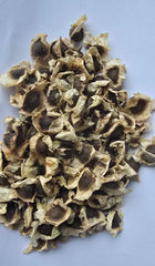 Jamaican Moringa Seeds "The Miracle Seed — Nature's Water Purifier and Nutritional Powerhouse"