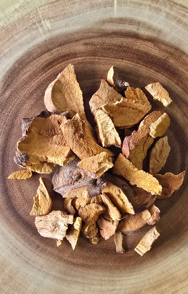 Jamaican Chaney Root Tea "Iron-Rich Blood Builder — Strength That Starts at the Root"