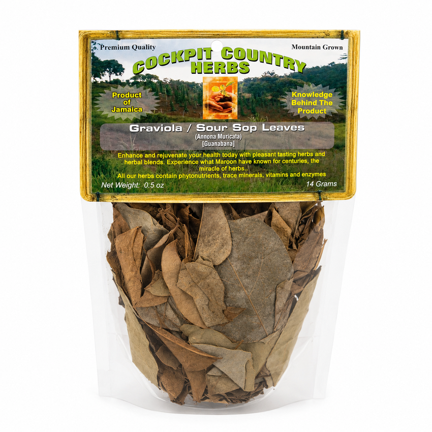 Jamaican Sour Sop Leaves - Graviola