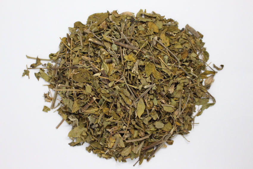 Jamaican Moringa Leaves Tea -"The Miracle Tree — Daily Nutrition, Island Strength"