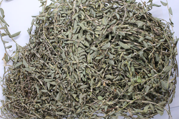 Jamaican Medina Tea "Stamina. Strength. Renewal — Jamaica's Performance Herb"