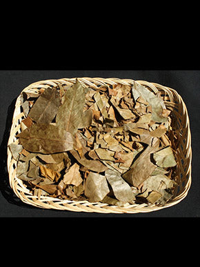 Jamaican Sour Sop Leaves Tea (Graviola) - "Unwind Deeply - The Caribbean's Most Trusted Relaxation Herb"